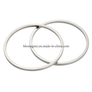 Permanenet NdFeB Neodymium Iron Boron Ring Magnet for Industrial
