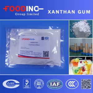 China Buy Low Price Xanthan Gum Transparent Grade 80 Mesh