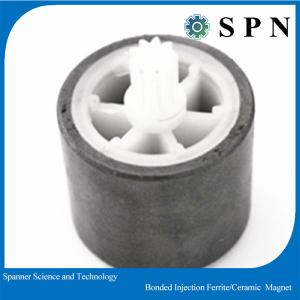 Plastic Ferrite Bonded Injection Magnet for Pump